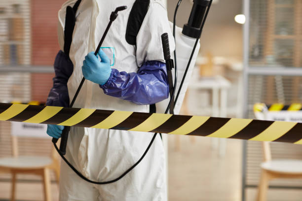 Professional Sewage Cleanup technician working in Essex Fells, NJ